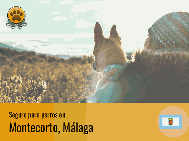 Seguro perros Montecorto