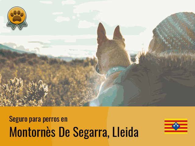 Seguro perros Montornès De Segarra