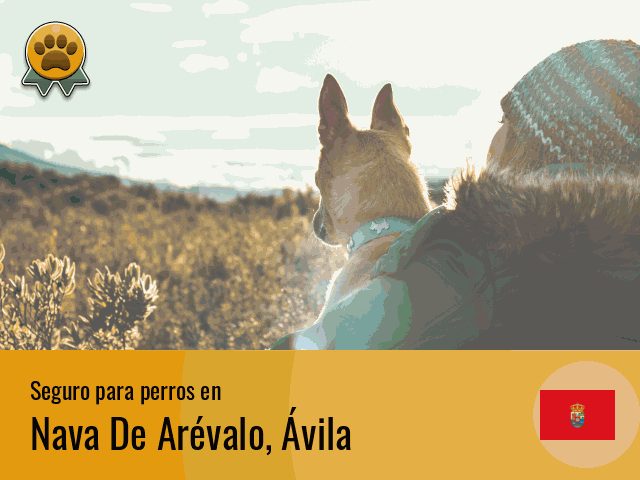 Seguro perros Nava De Arévalo