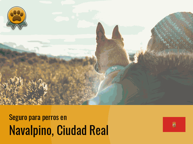 Seguro perros Navalpino