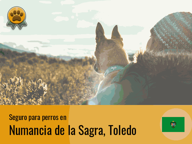 Seguro perros Numancia de la Sagra