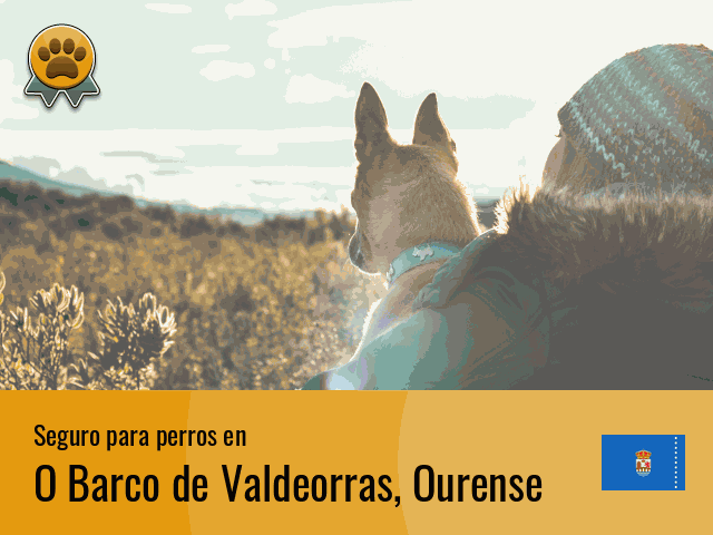 Seguro perros O Barco de Valdeorras