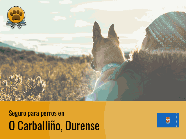 Seguro perros O Carballiño