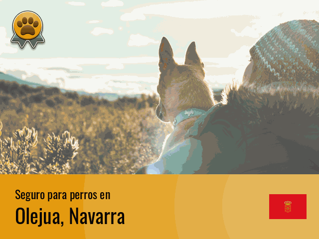 Seguro perros Olejua