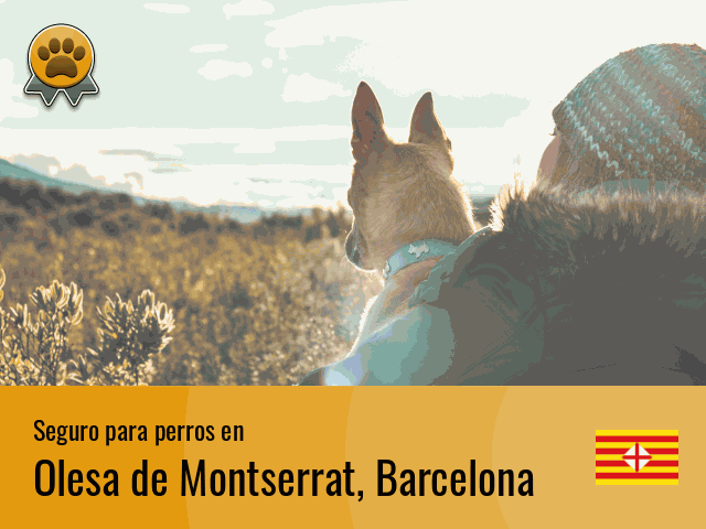 Seguro perros Olesa de Montserrat