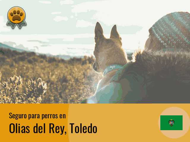 Seguro perros Olias del Rey