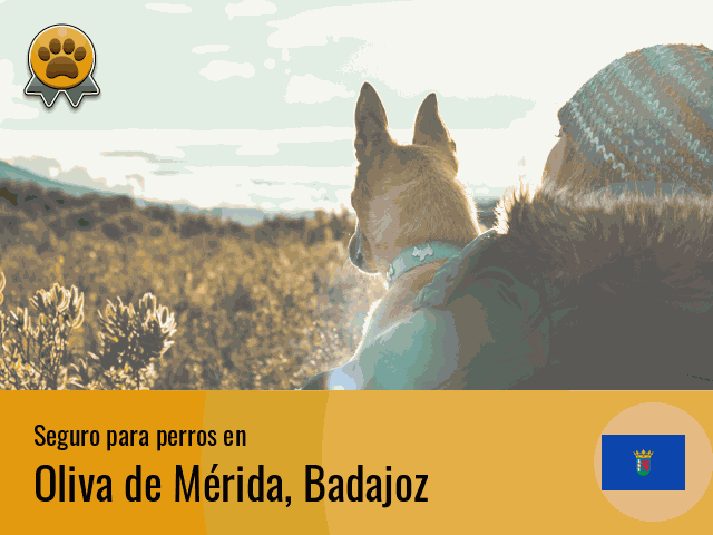 Seguro perros Oliva de Mérida