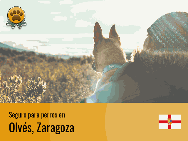 Seguro perros Olvés