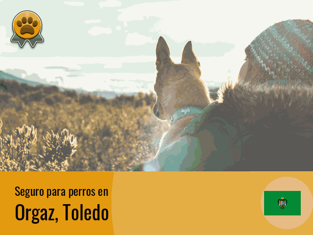 Seguro perros Orgaz