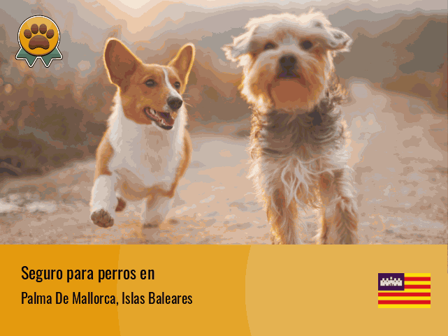 Seguro perros Palma De Mallorca