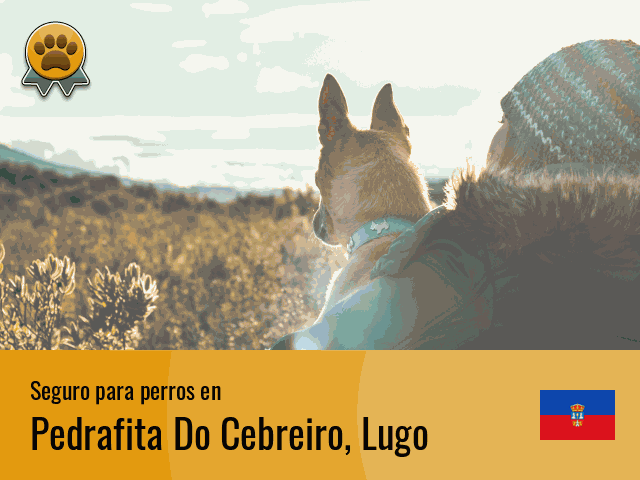 Seguro perros Pedrafita Do Cebreiro