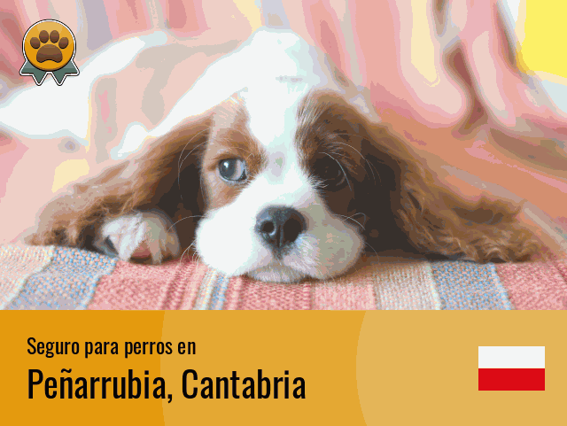 Seguro perros Peñarrubia