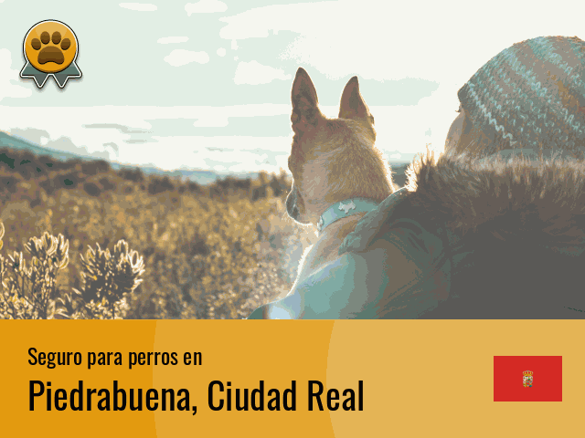 Seguro perros Piedrabuena