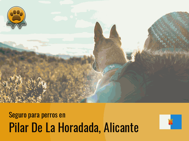 Seguro perros Pilar De La Horadada