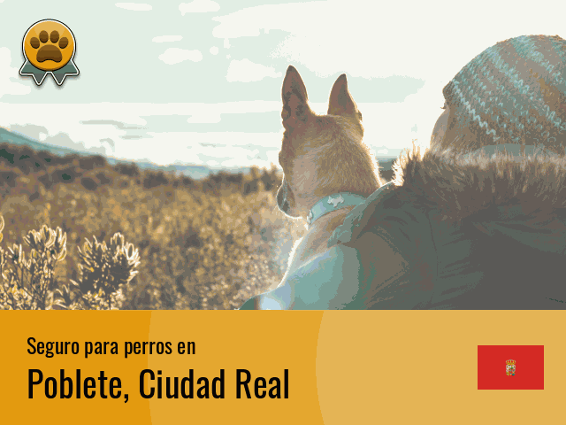Seguro perros Poblete