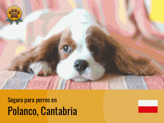 Seguro perros Polanco