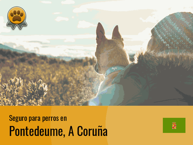 Seguro perros Pontedeume