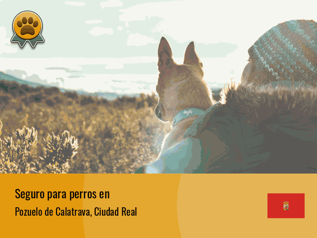 Seguro perros Pozuelo de Calatrava