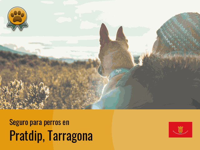 Seguro perros Pratdip