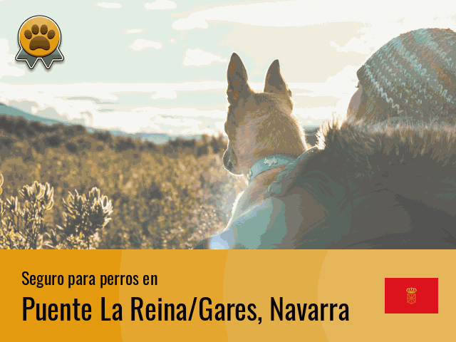 Seguro perros Puente La Reina/Gares