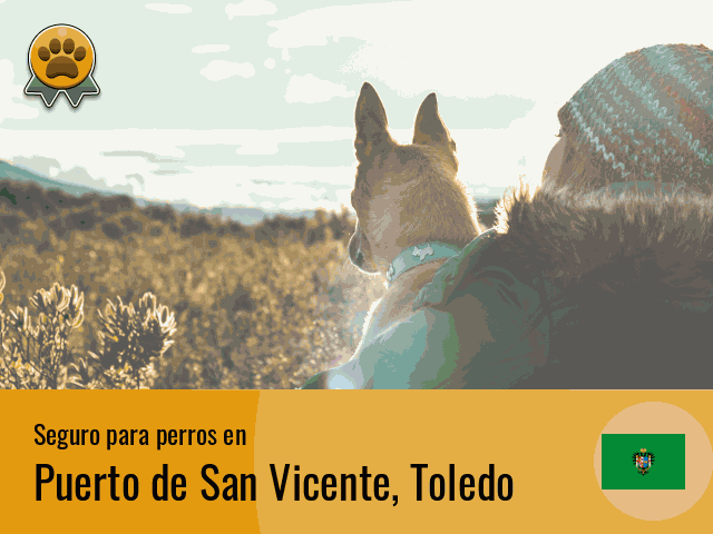 Seguro perros Puerto de San Vicente