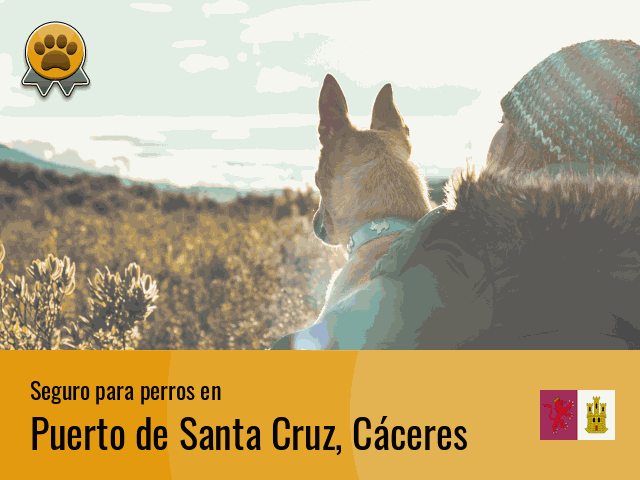 Seguro perros Puerto de Santa Cruz