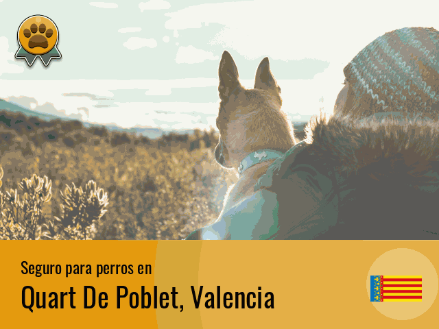 Seguro perros Quart De Poblet