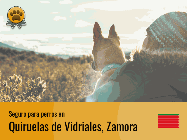 Seguro perros Quiruelas de Vidriales