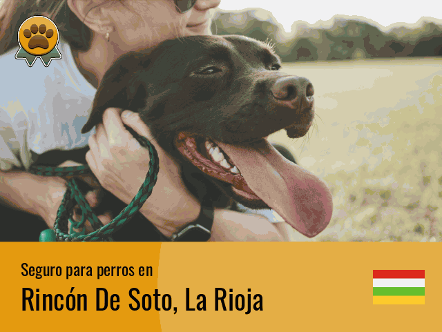 Seguro perros Rincón De Soto