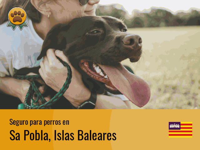 Seguro perros Sa Pobla