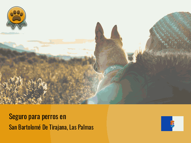 Seguro perros San Bartolomé De Tirajana