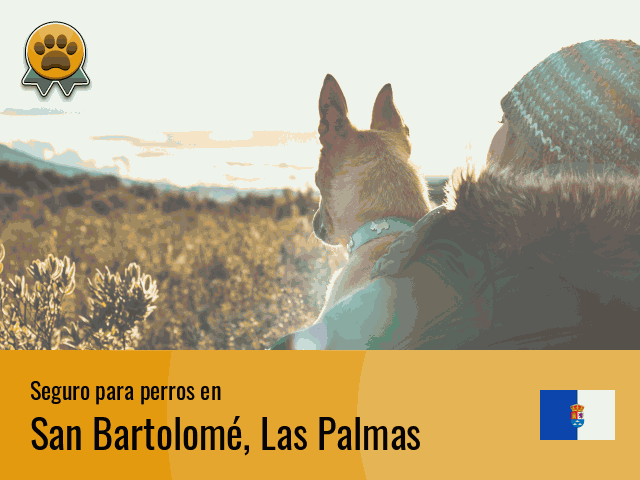 Seguro perros San Bartolomé