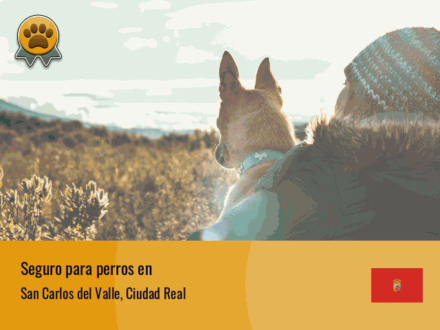 Seguro perros San Carlos del Valle
