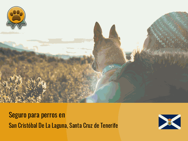 Seguro perros San Cristóbal De La Laguna