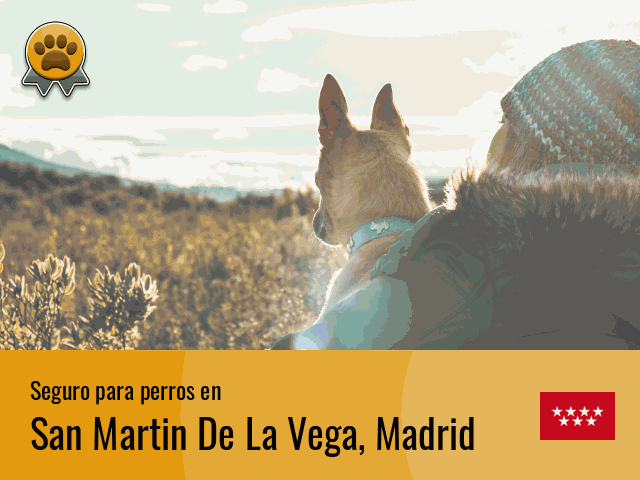 Seguro perros San Martin De La Vega