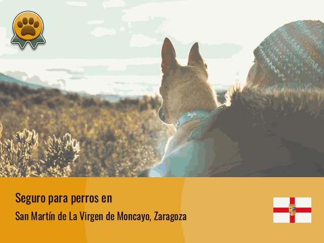 Seguro perros San Martín de La Virgen de Moncayo