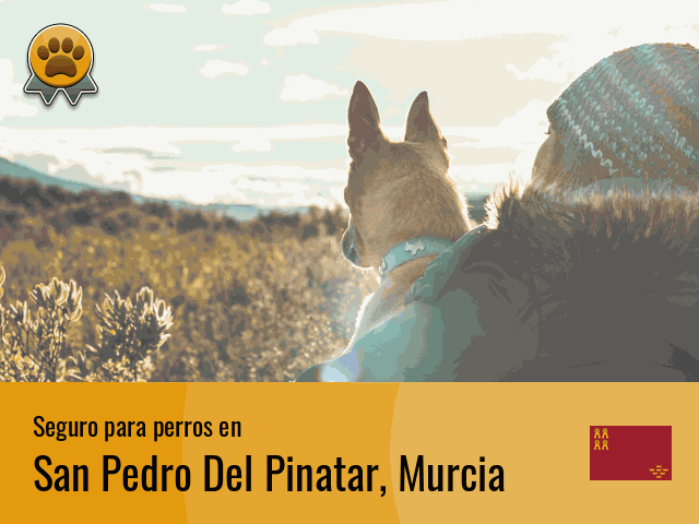 Seguro perros San Pedro Del Pinatar