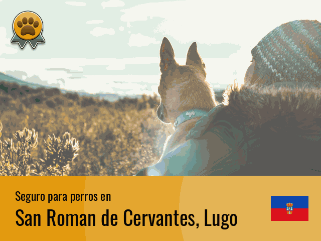 Seguro perros San Roman de Cervantes
