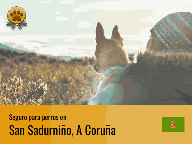 Seguro perros San Sadurniño
