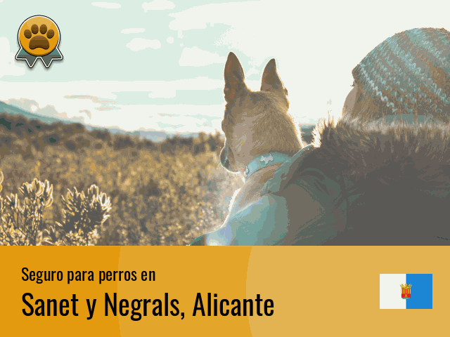 Seguro perros Sanet y Negrals