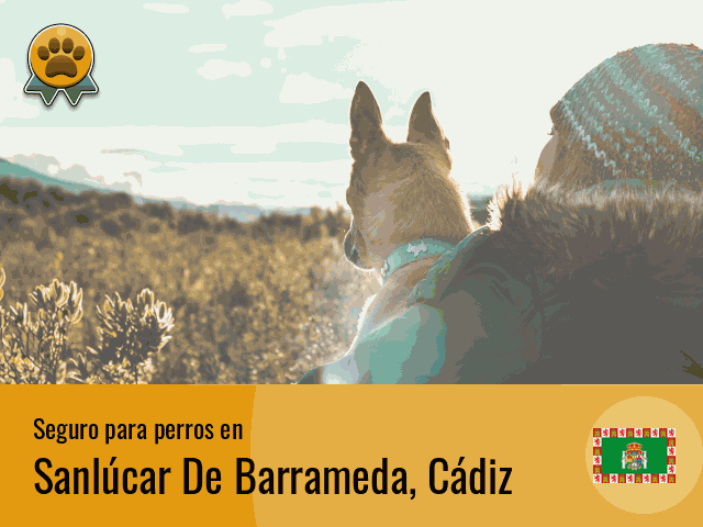 Seguro perros Sanlúcar De Barrameda