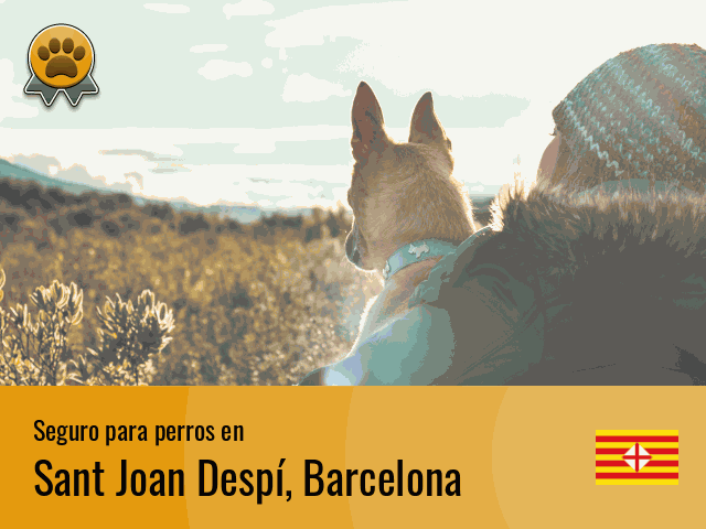 Seguro perros Sant Joan Despí