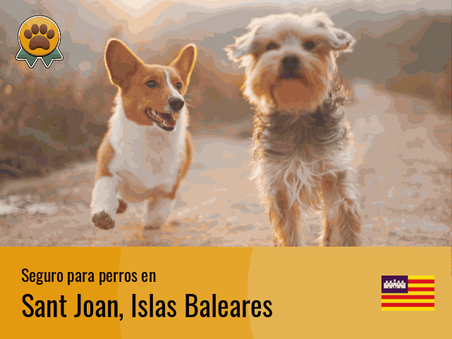 Seguro perros Sant Joan