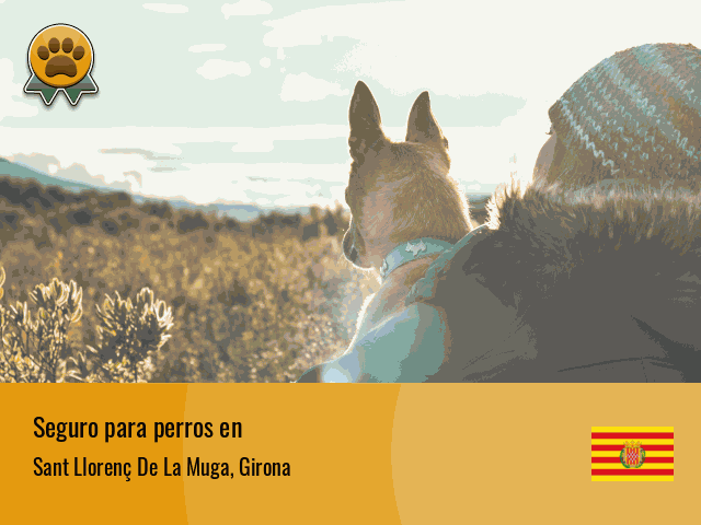 Seguro perros Sant Llorenç De La Muga