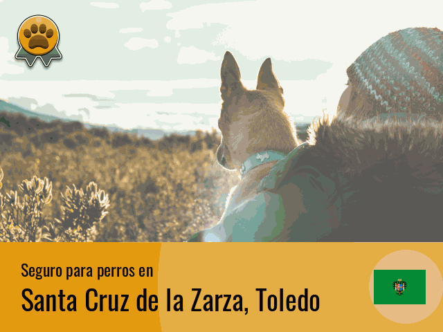 Seguro perros Santa Cruz de la Zarza