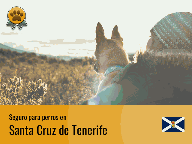 Seguro perros Santa Cruz de Tenerife