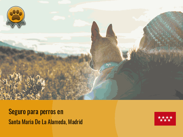 Seguro perros Santa Maria De La Alameda