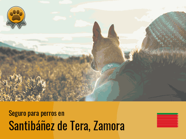 Seguro perros Santibáñez de Tera