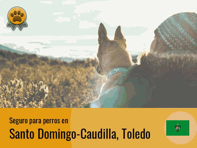 Seguro perros Santo Domingo-Caudilla