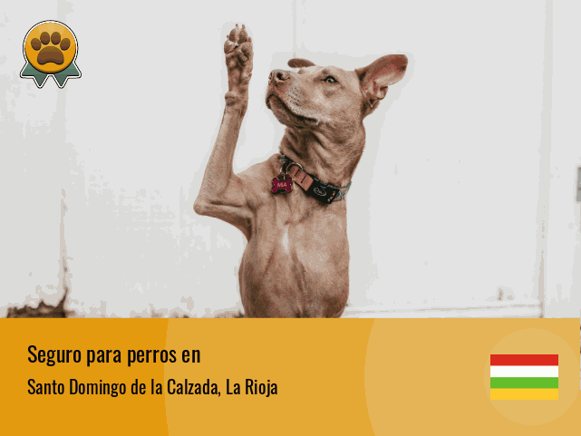 Seguro perros Santo Domingo de la Calzada